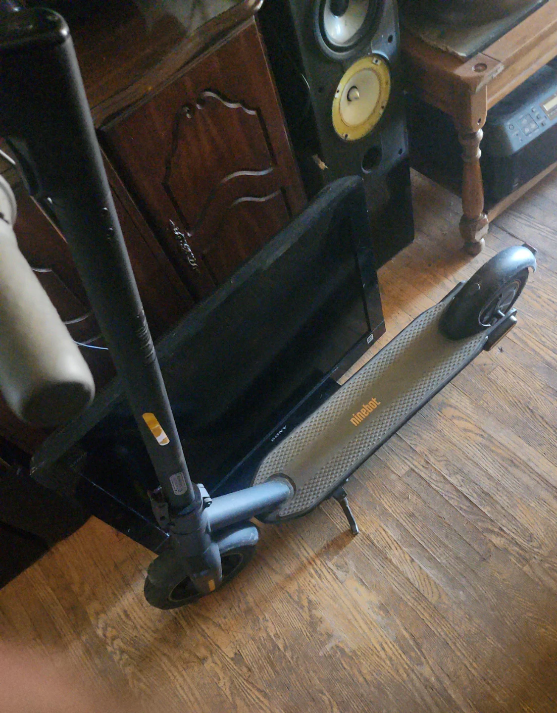 Ninebot Electric Scooter