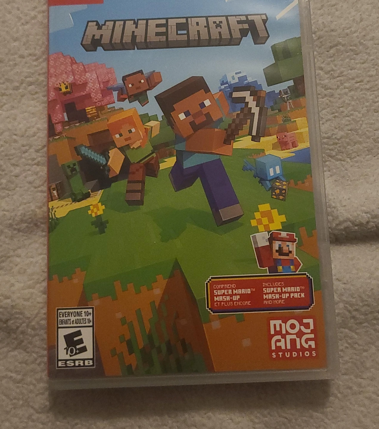 Minecraft for Nintendo Switch