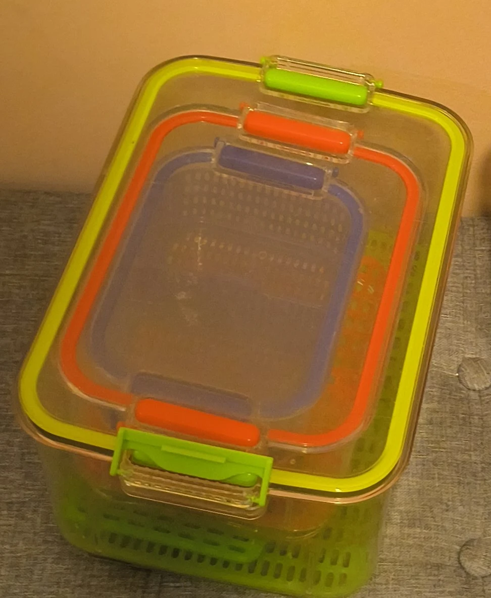 Set of 3 Plastic Produce Storage Containers