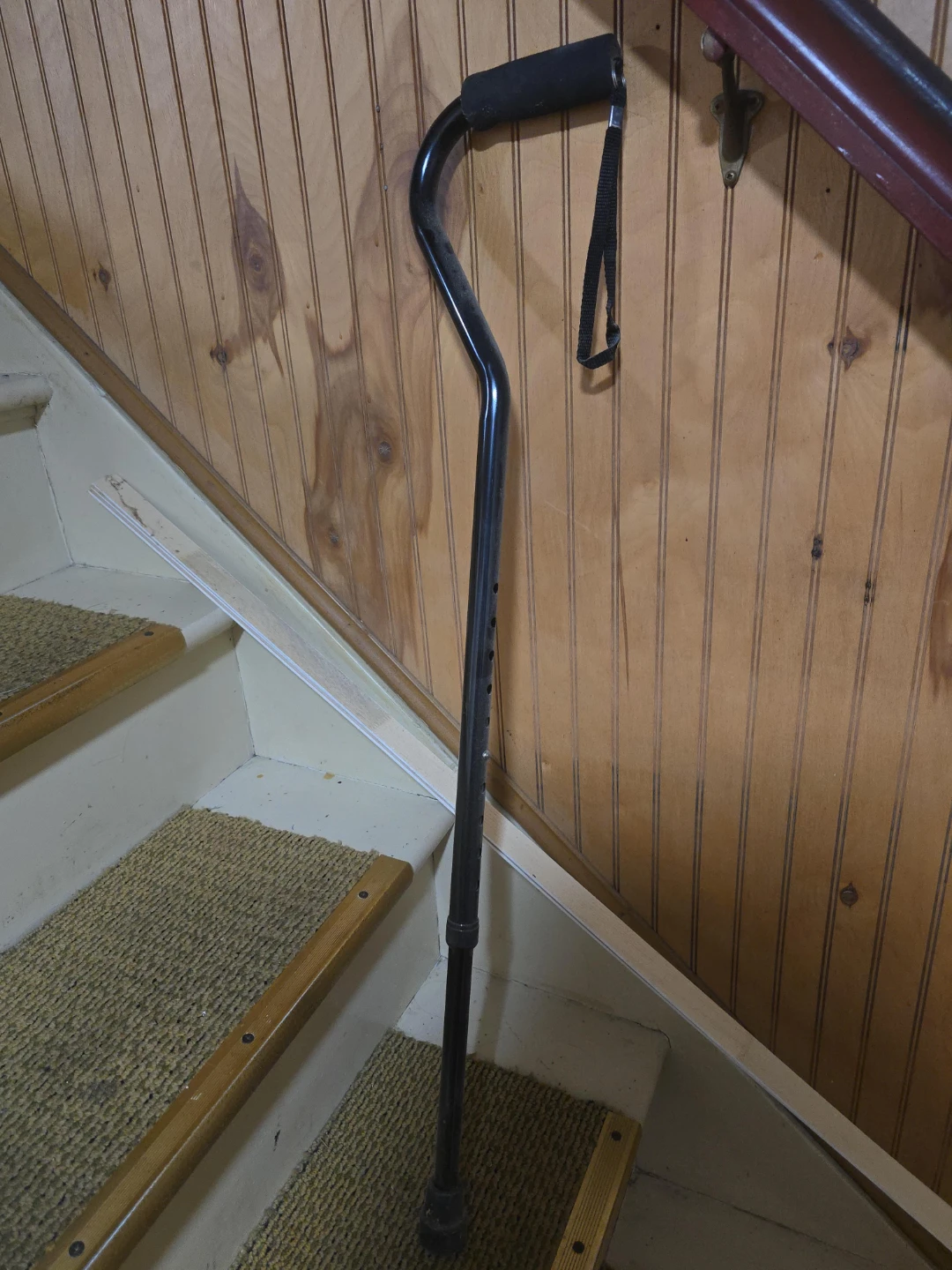 Black Adjustable Walking Cane