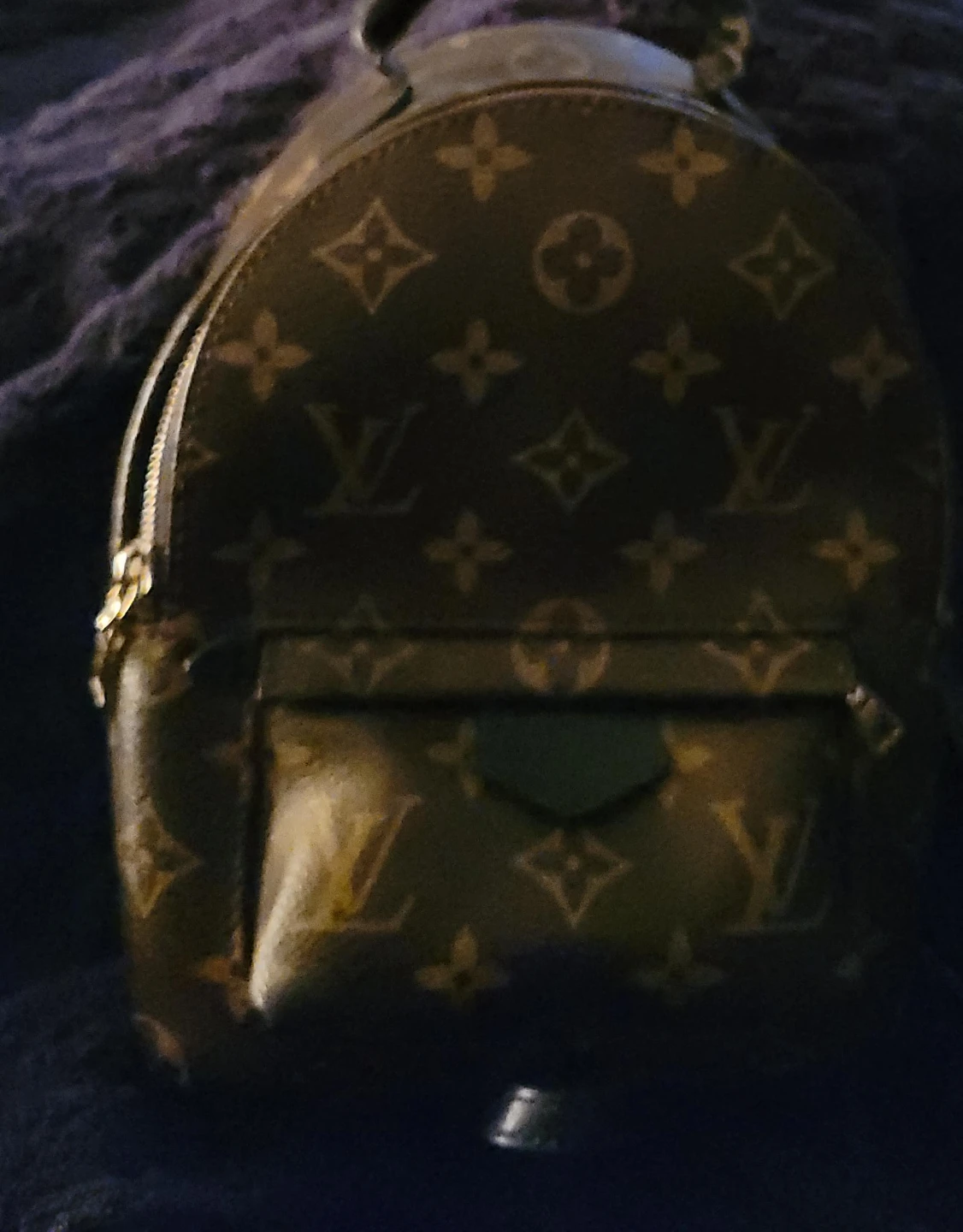 Louis Vuitton Monogram Palm Springs Mini Backpack