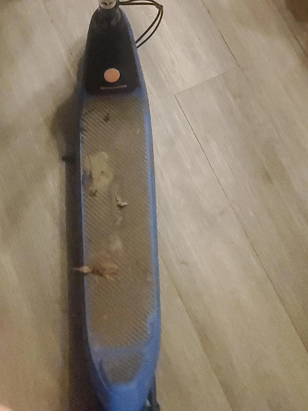 Blue Childrens Kick Scooter