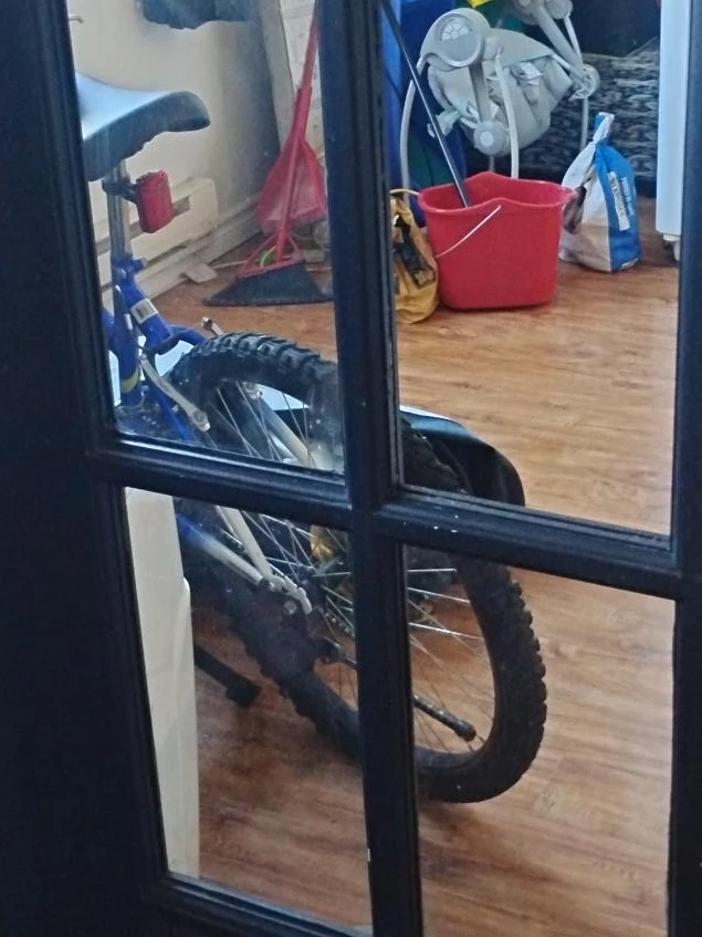 Blue Bicycle