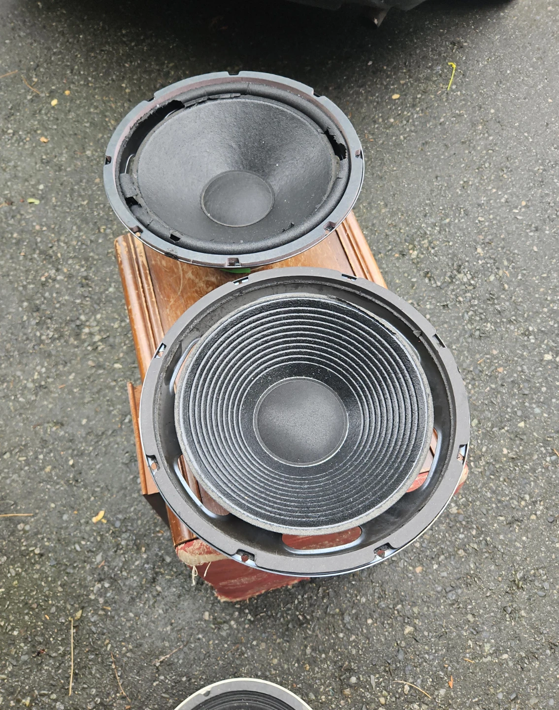Pair of Replacement Speakers