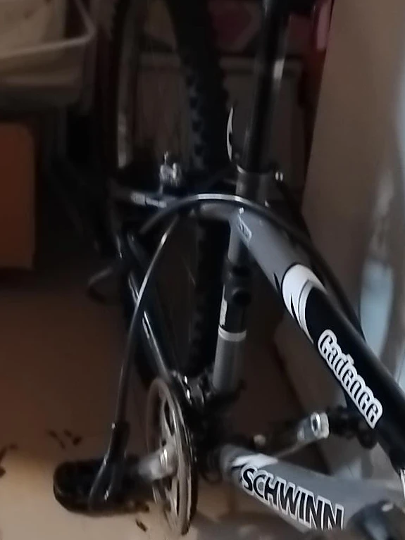 Schwinn Cadence Mountain Bike