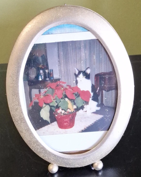 Oval Tabletop Photo Frame
