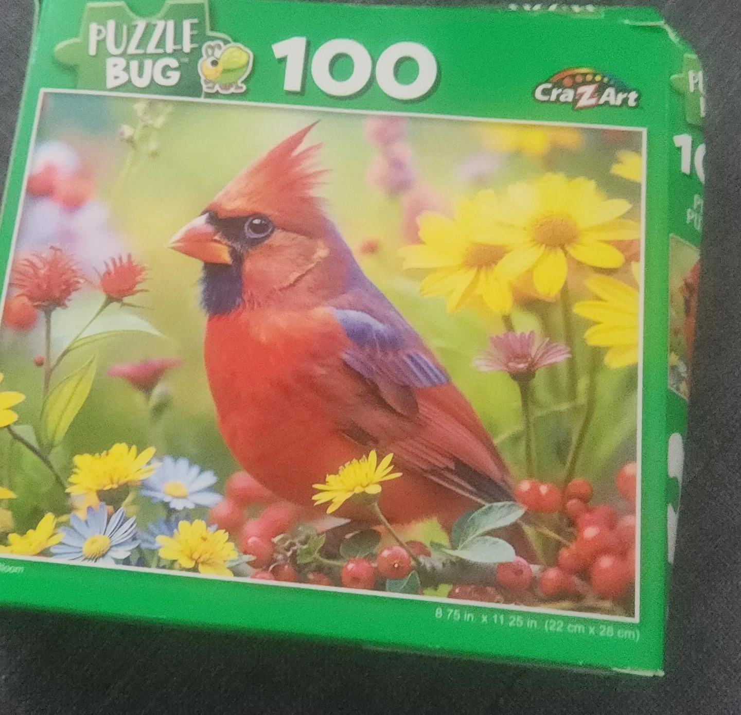 Puzzle Bug 100 Piece Cardinal Jigsaw Puzzle