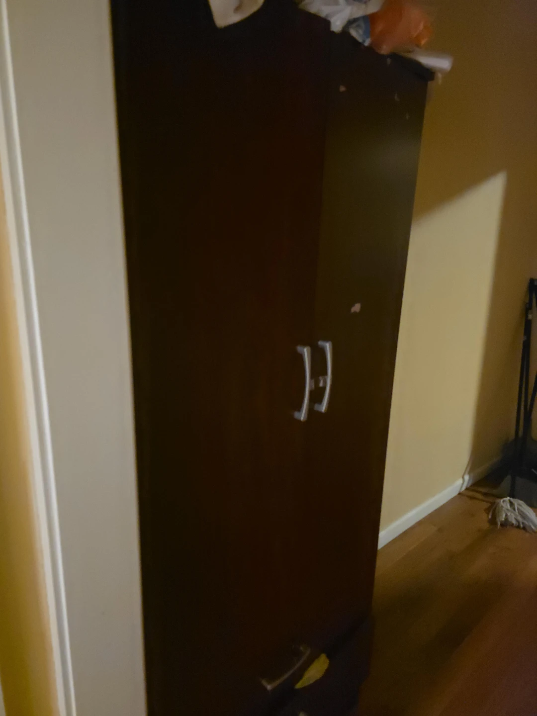Dark Brown Two-Door Wardrobe