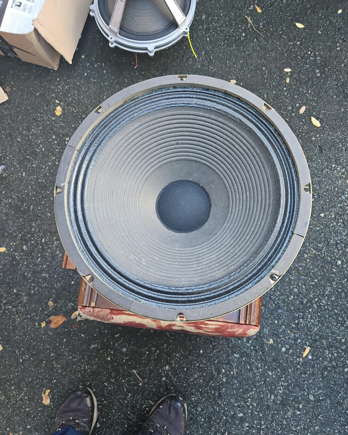 Peerless Audio 12-inch woofer