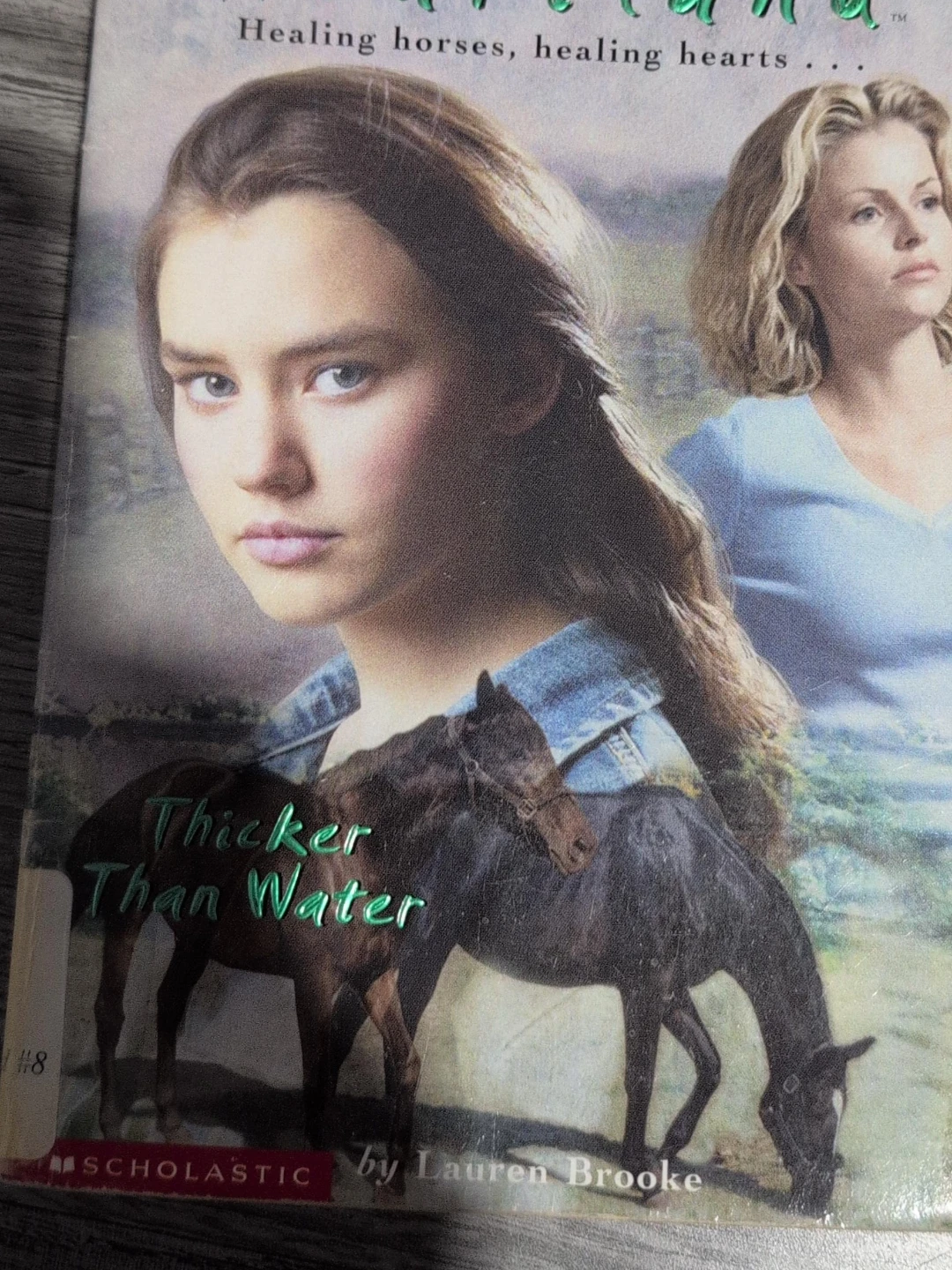 Heartland: Thicker Than Water by Lauren Brooke