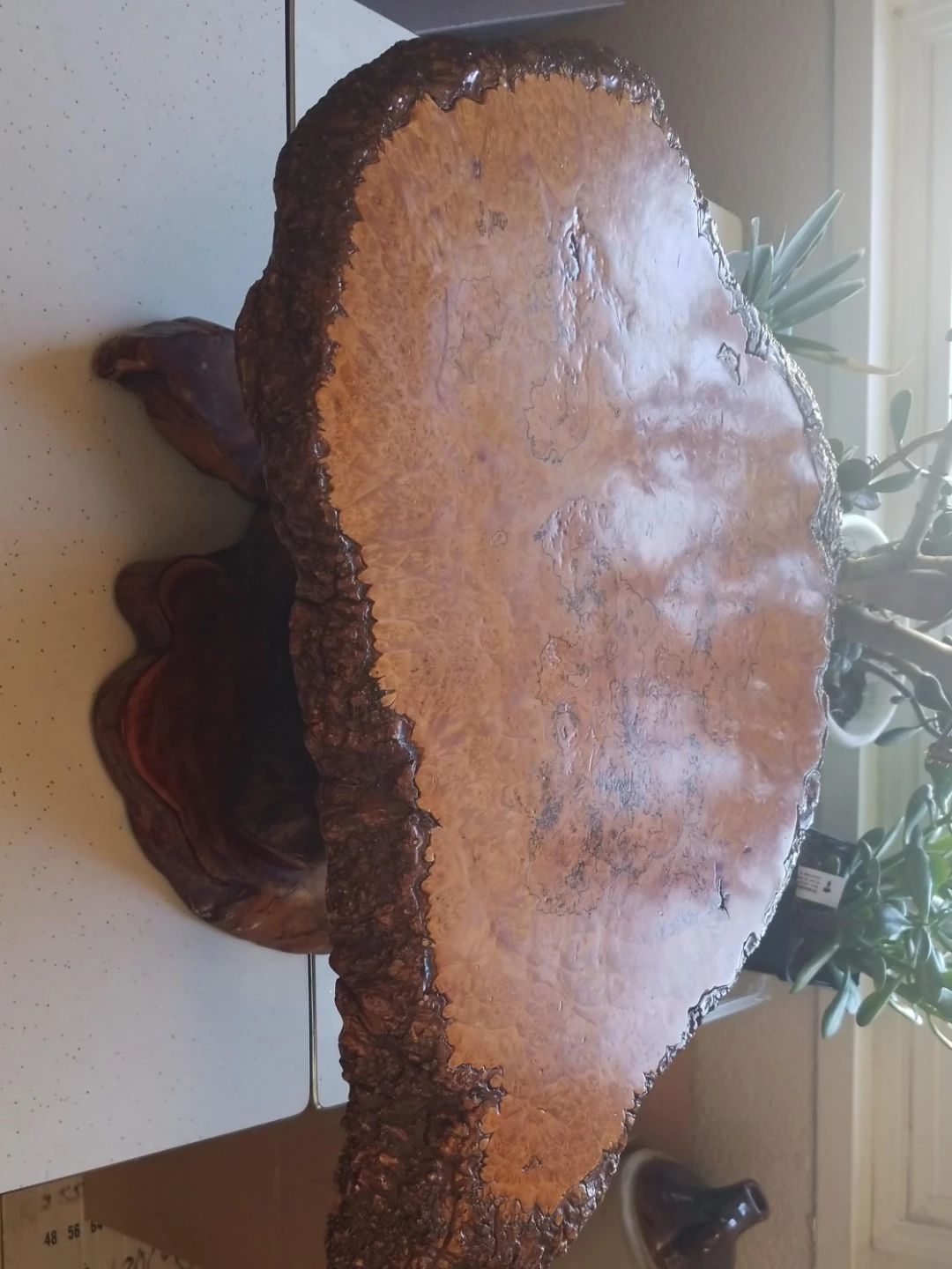 Natural Wood Burl Accent Table