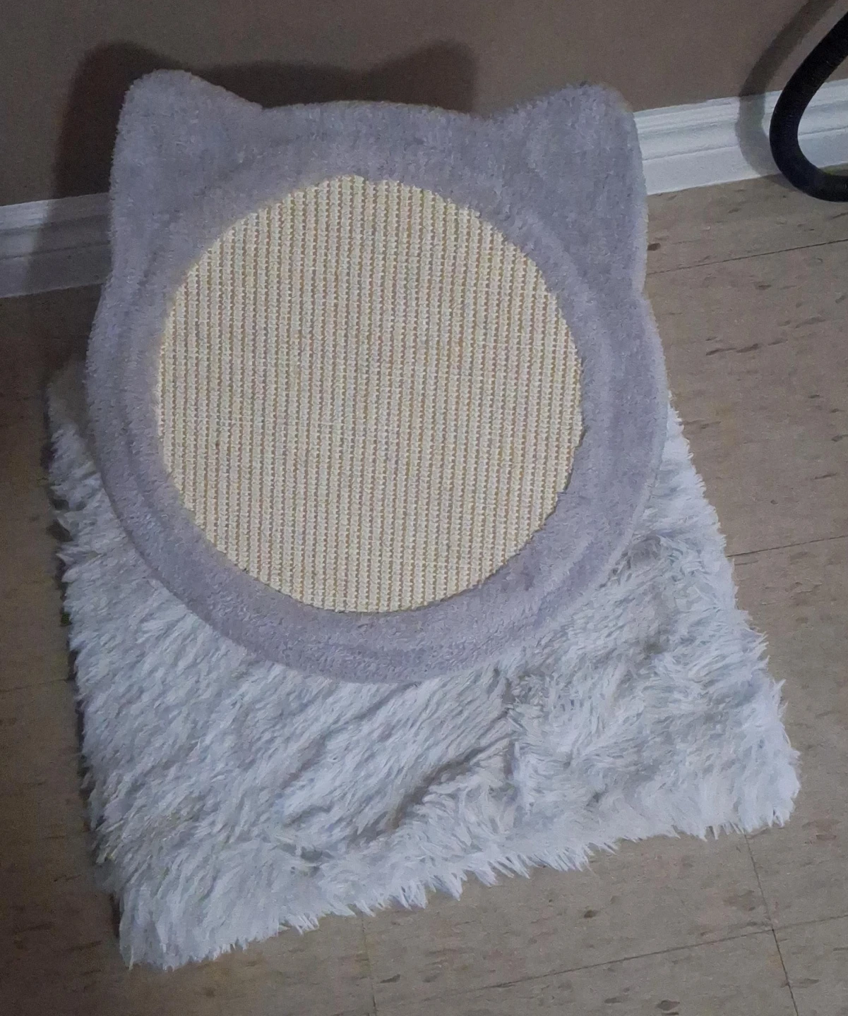 Cat-Shaped Scratching Pad