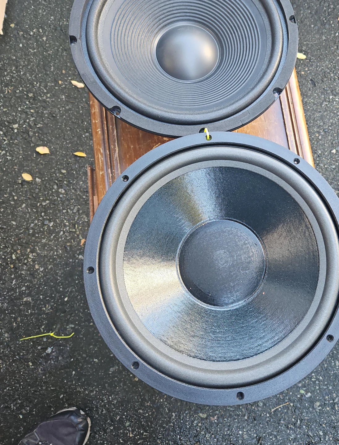 Two 12-inch Replacement Speaker Drivers