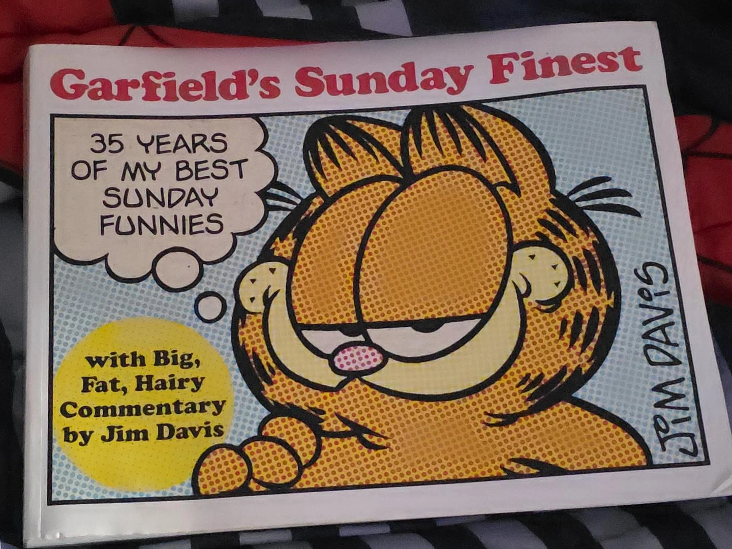 Garfield's Sunday Finest by Jim Davis