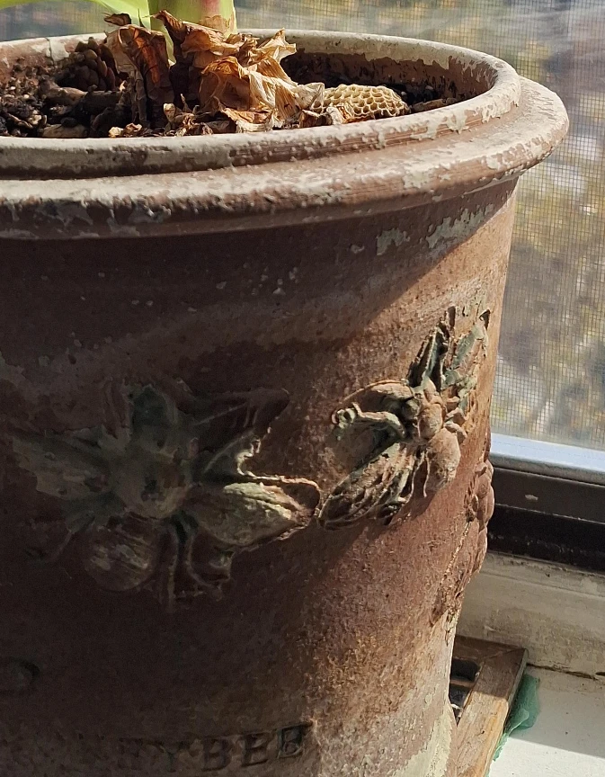 Decorative Terracotta Honeybee Planter