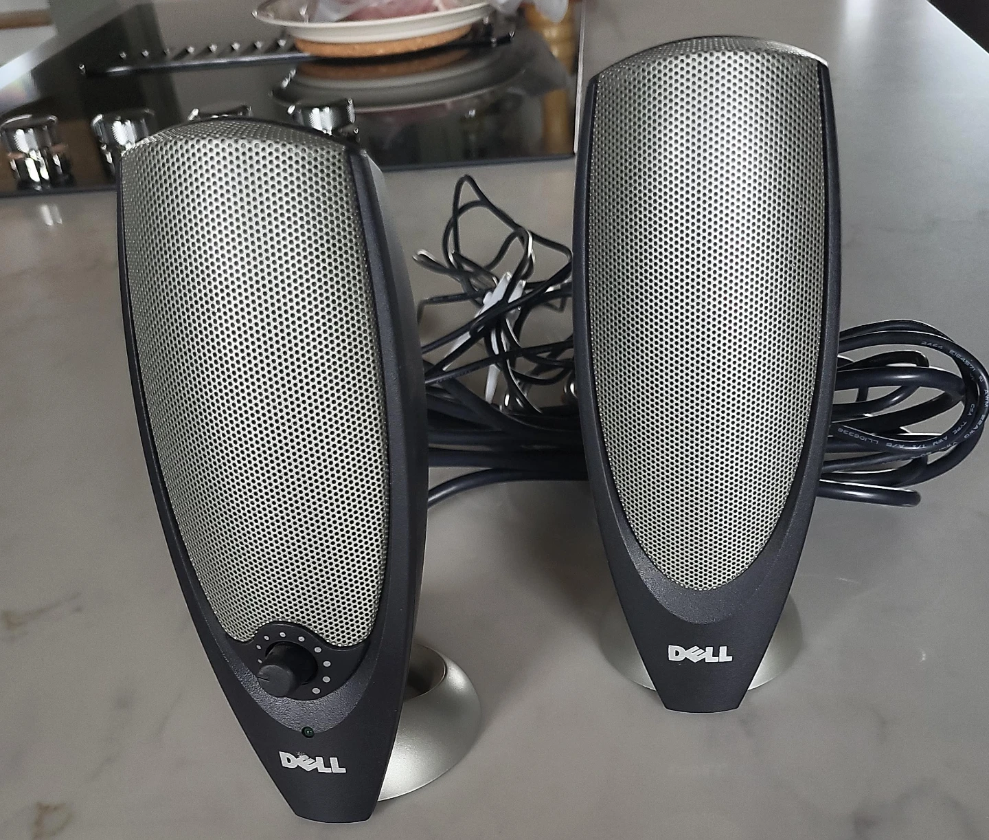 Dell Computer Speakers