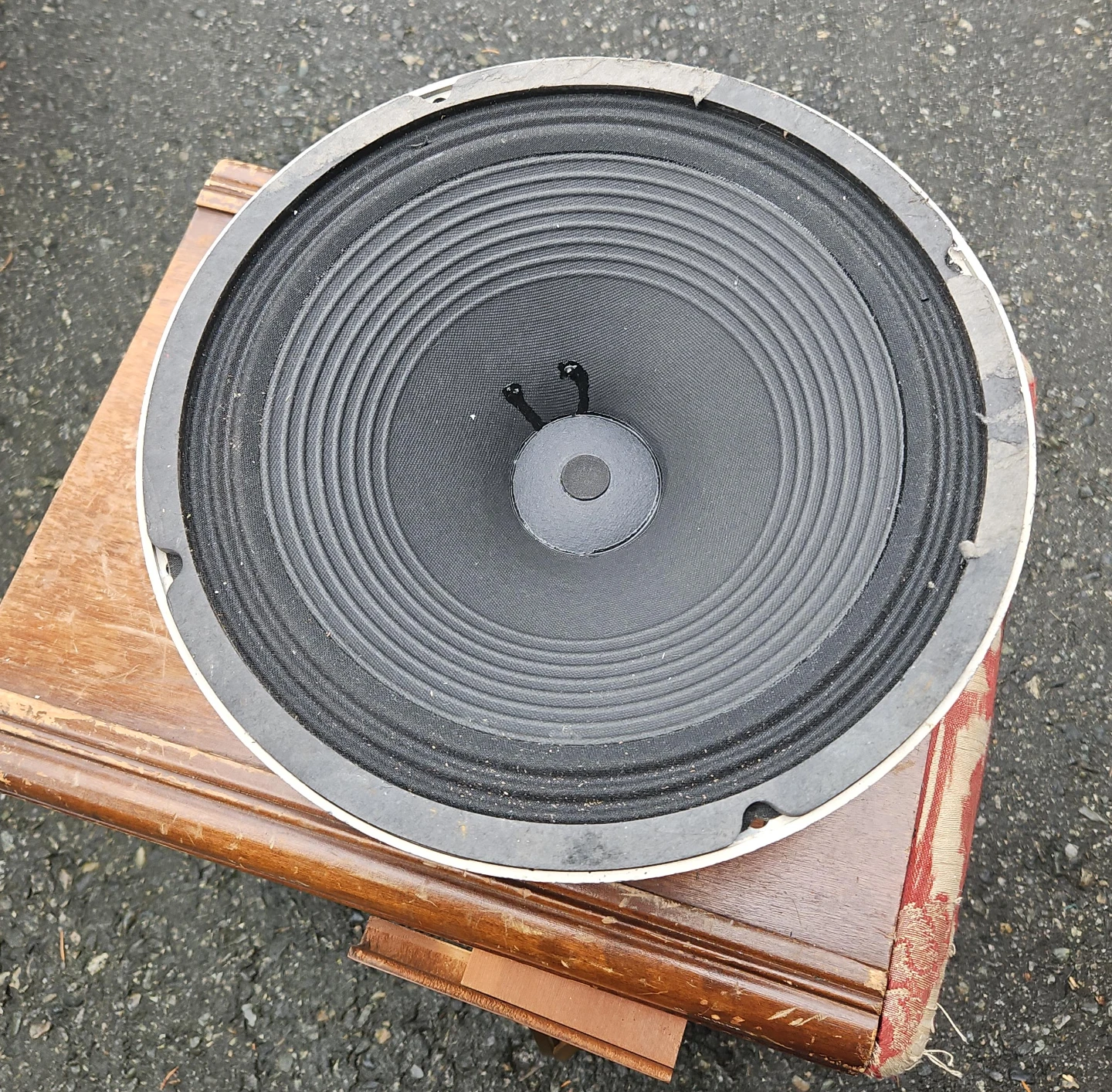 Electro-Voice SP12B 12-inch Speaker