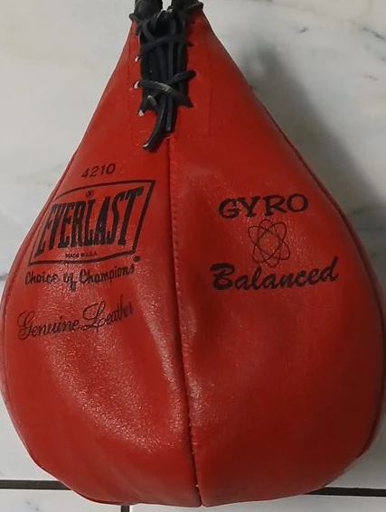 Everlast 4210 Gyro Balanced Speed Bag