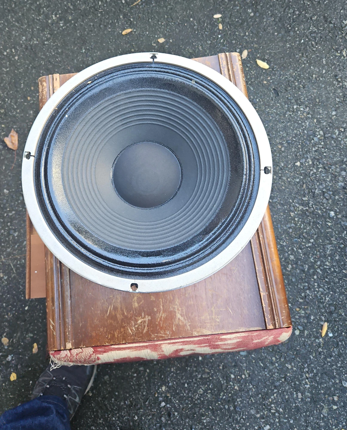 Celestion G12T-100 Guitar Speaker