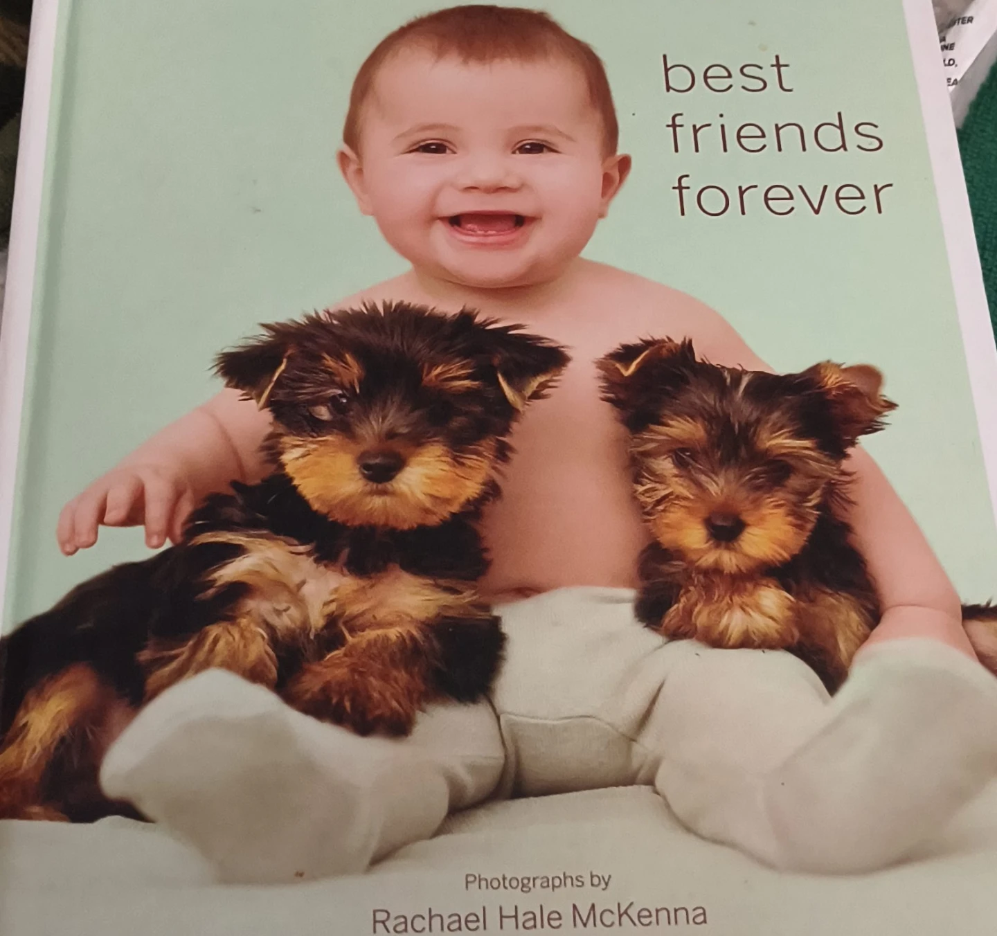 Best Friends Forever book by Rachael Hale McKenna