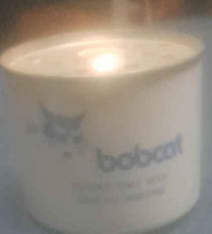 Bobcat Fuel Filter
