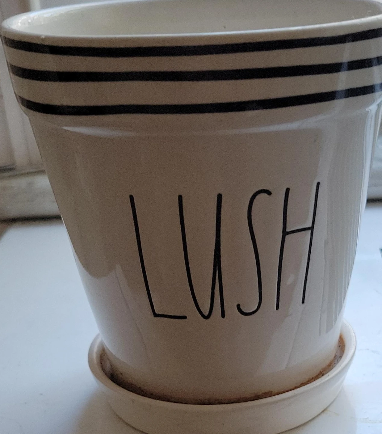 Rae Dunn LUSH Planter