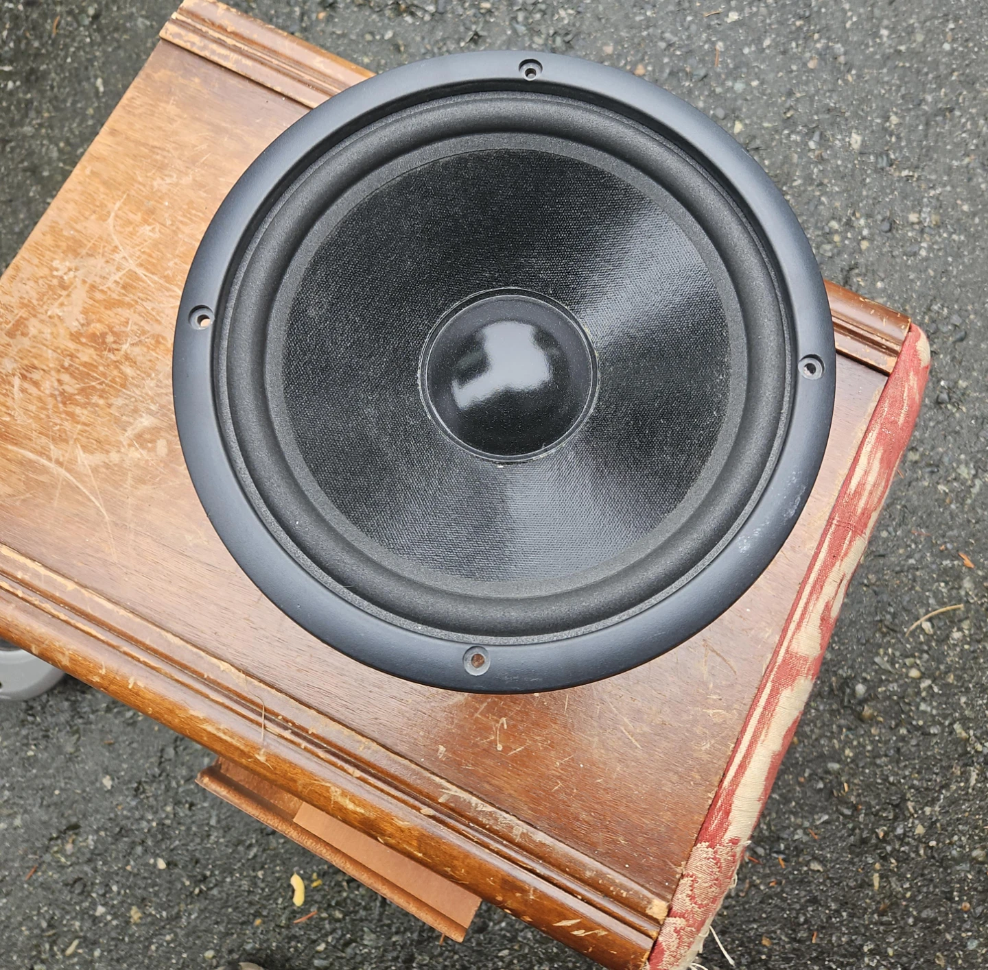 Seventh Heaven 12-inch Replacement Speaker