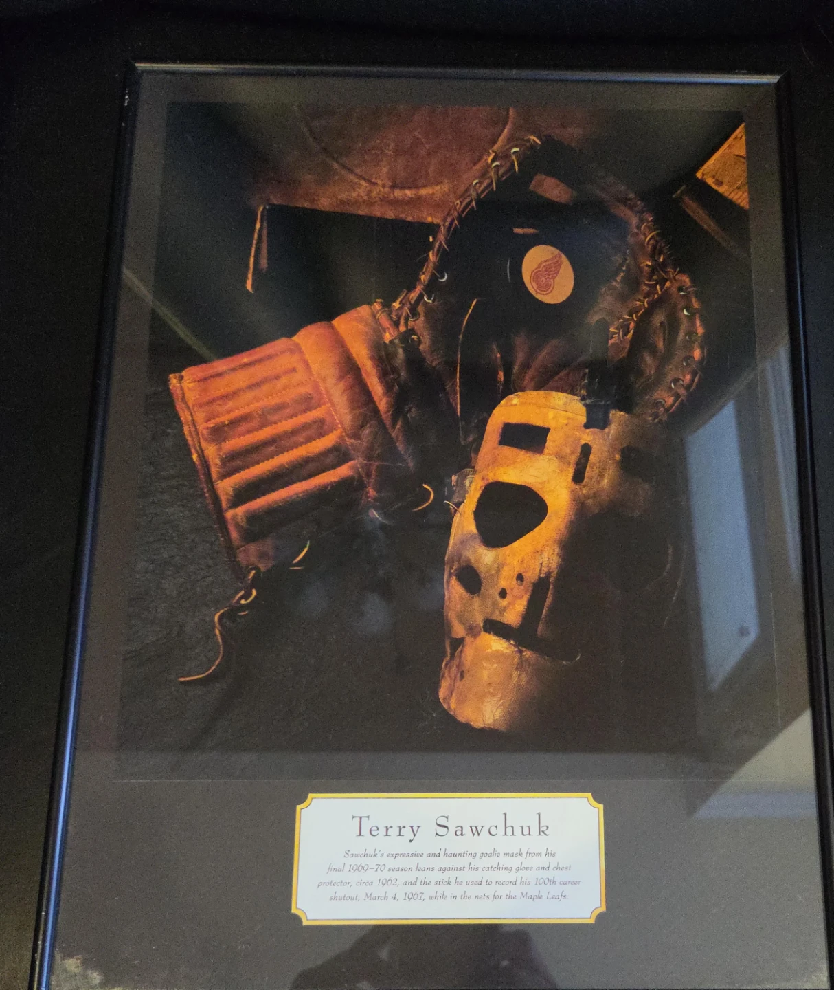 Terry Sawchuk Framed Print