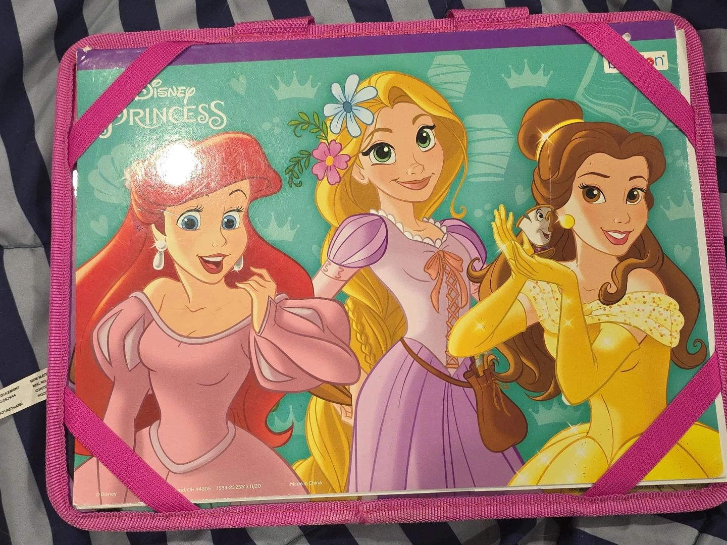 Disney Princess Art Case