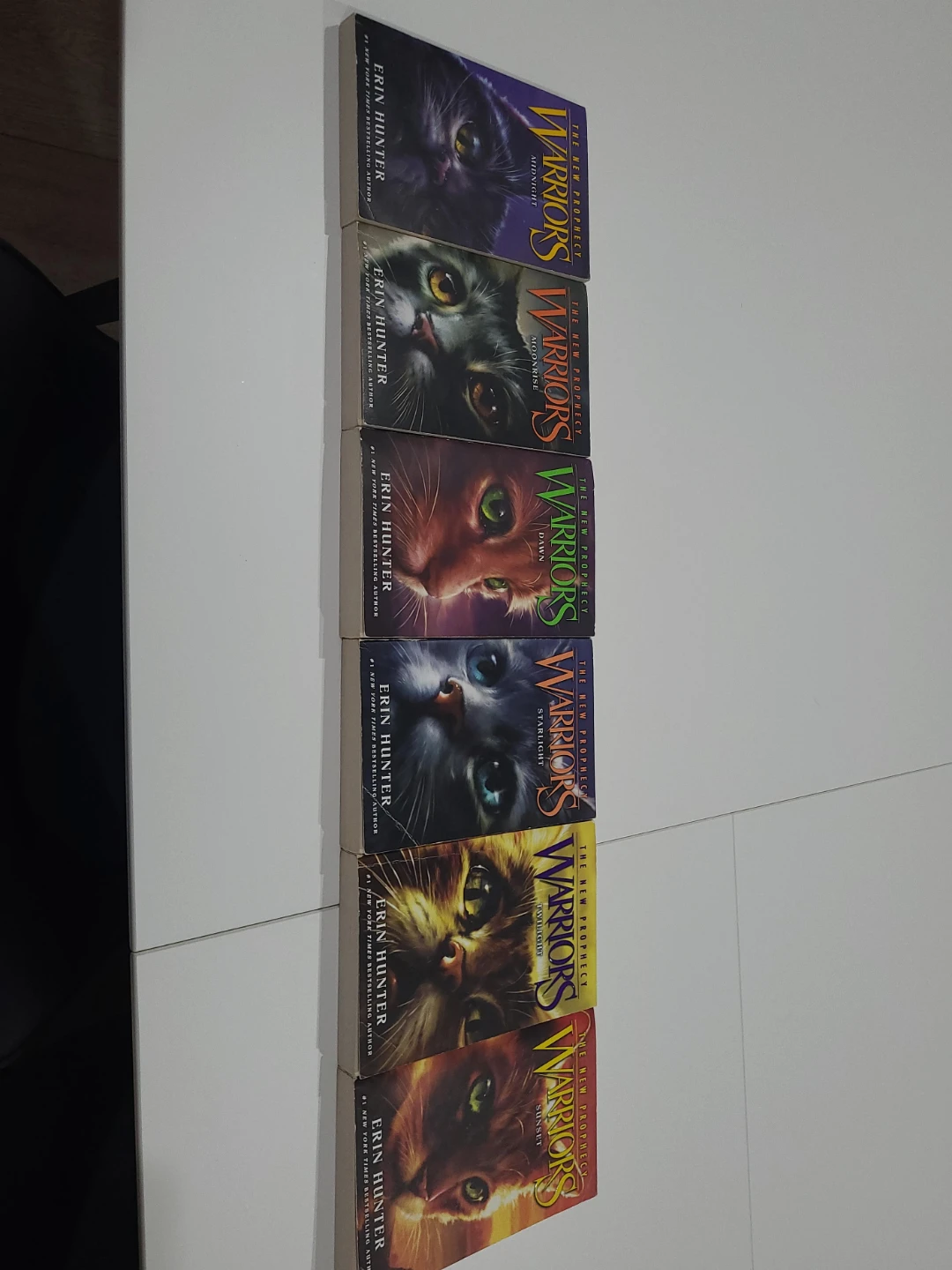 Warriors: The New Prophecy Series by Erin Hunter - photo 2