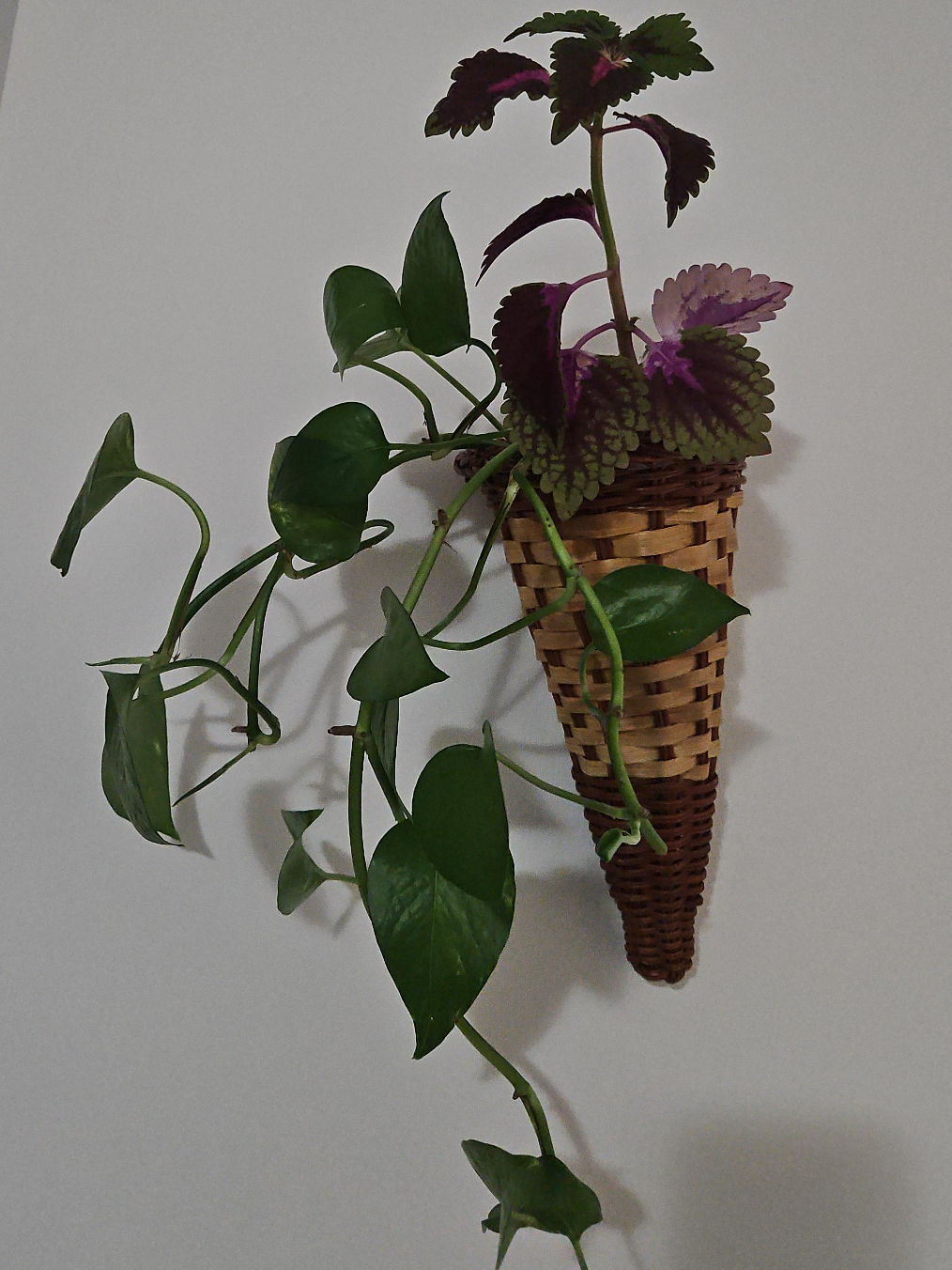 Wicker Wall Planter Basket thumbnail