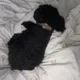 Esther profile