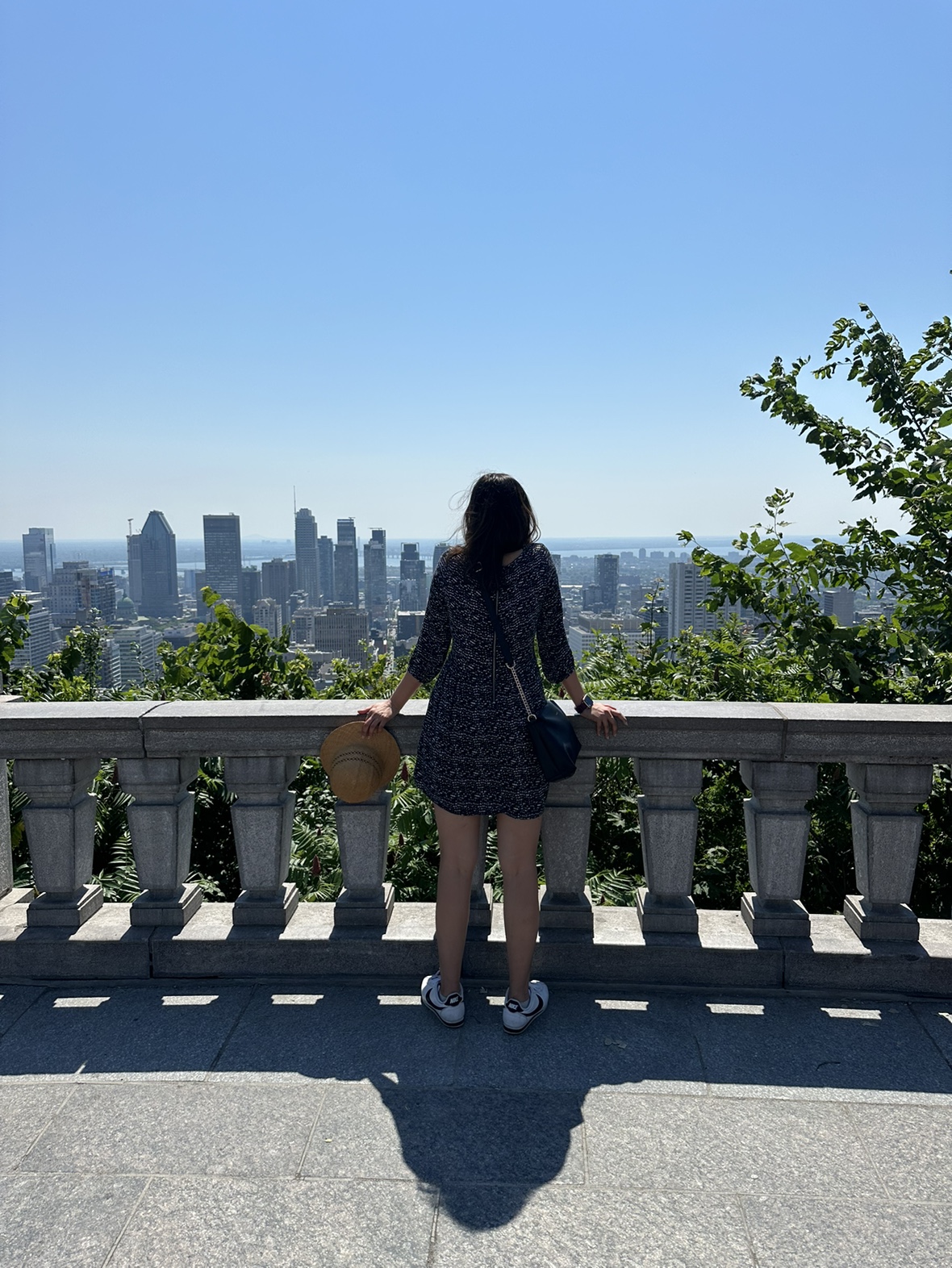 simi profile