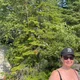 Donna profile