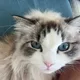 Serendipity profile
