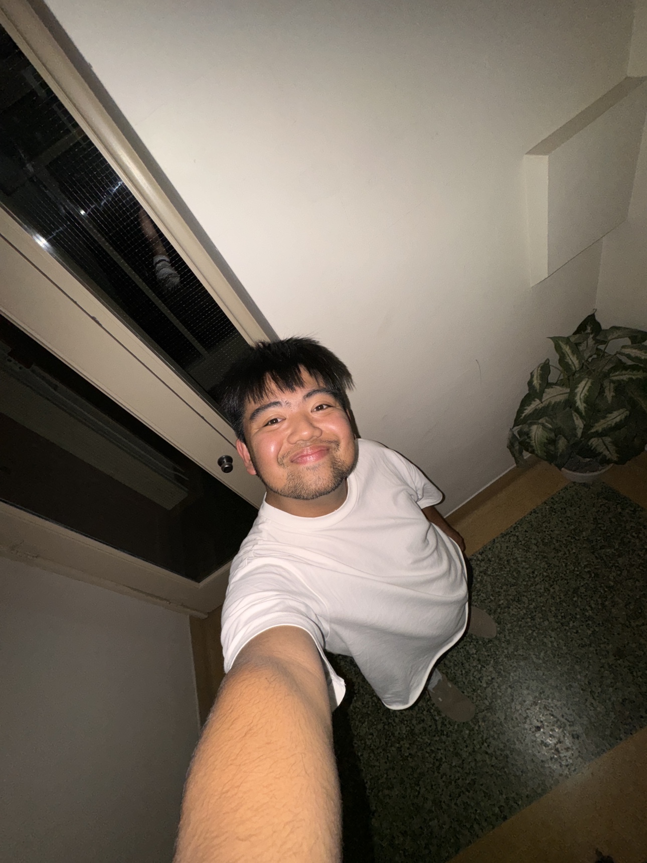 Vince profile