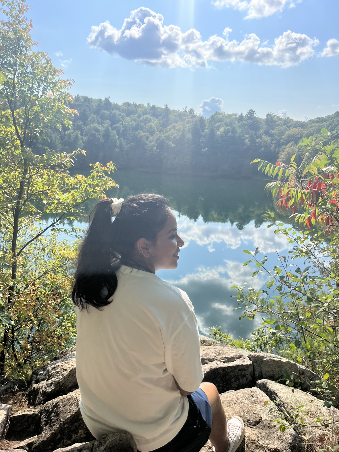 Anne perry profile