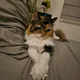 Bon profile