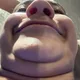 Sam profile