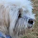 konrad profile