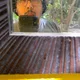 Leonardo Cruz profile