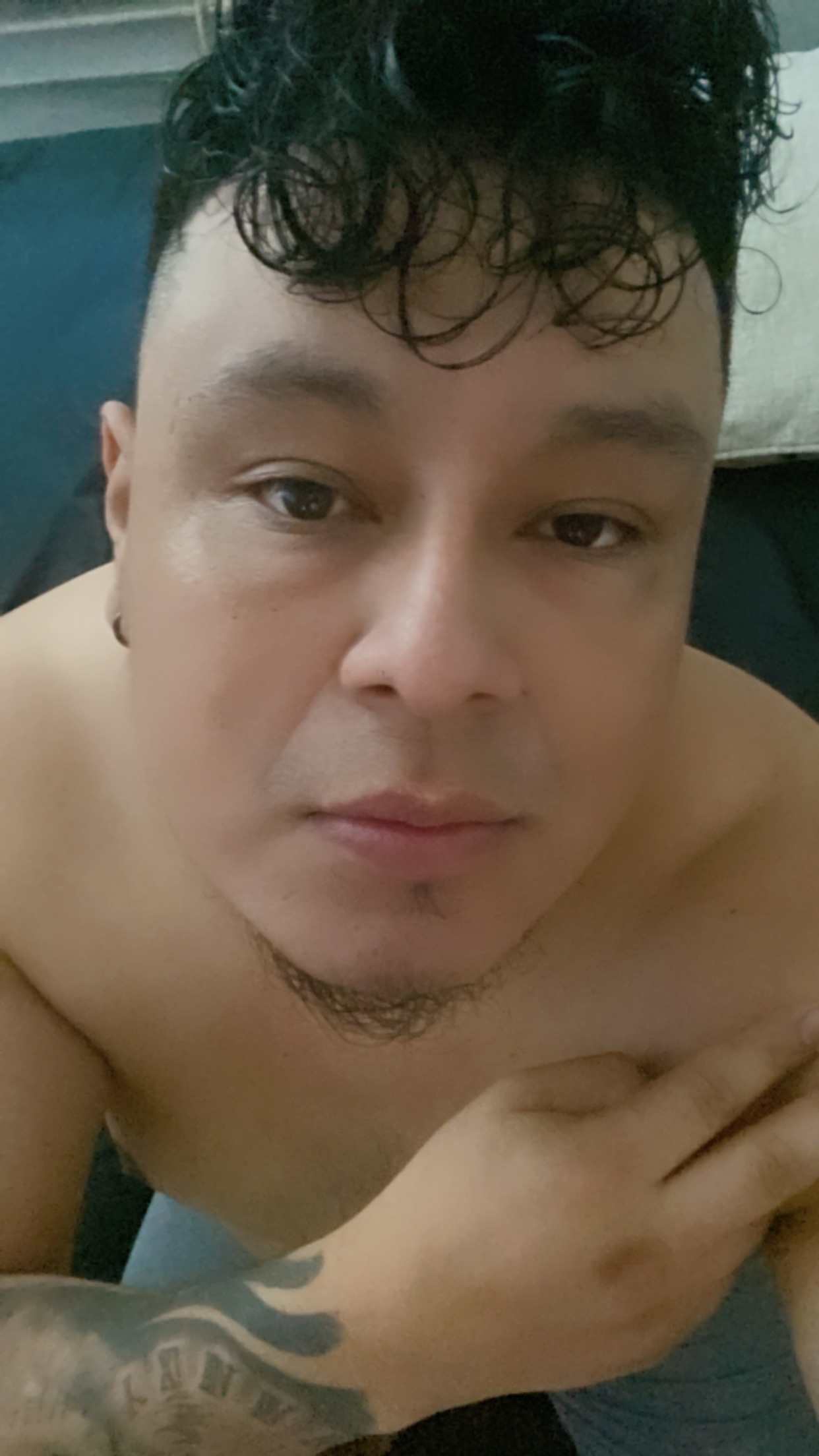 Cesar profile