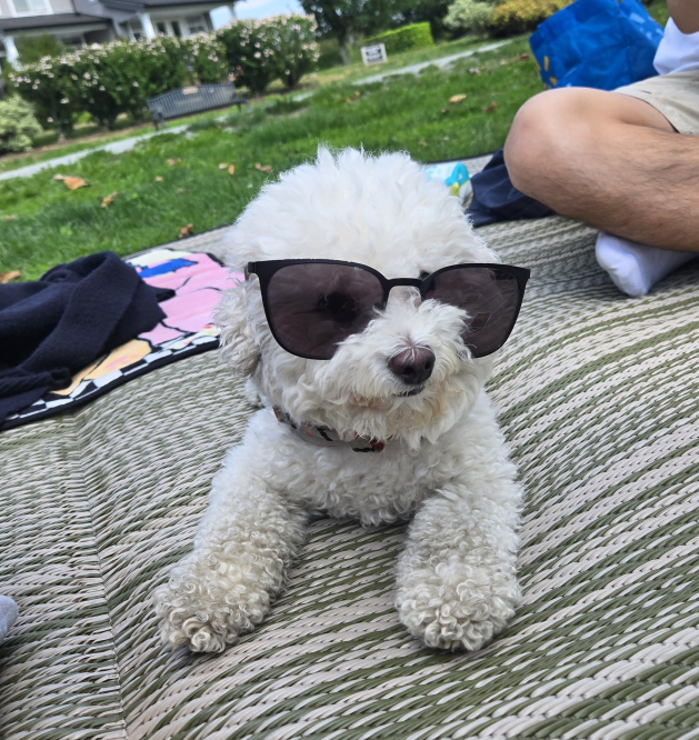 PoosMom profile