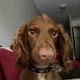 Ryan profile
