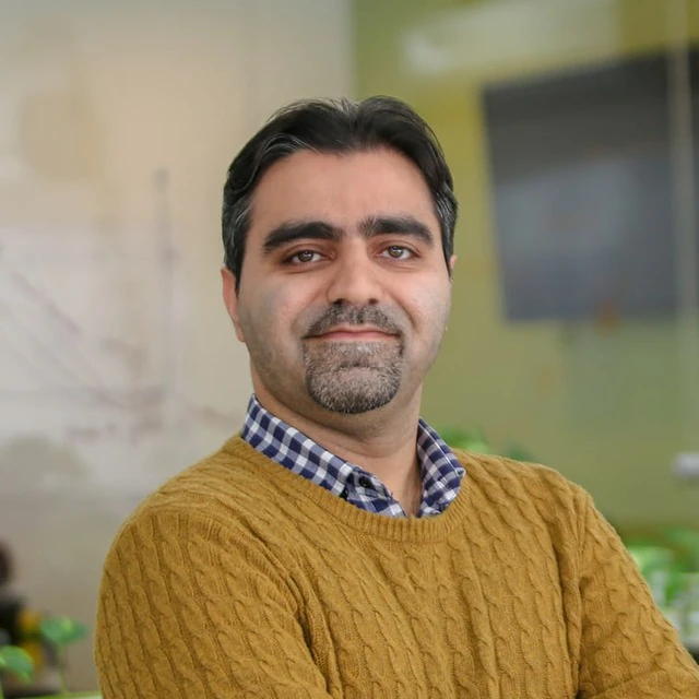 Mehdi profile