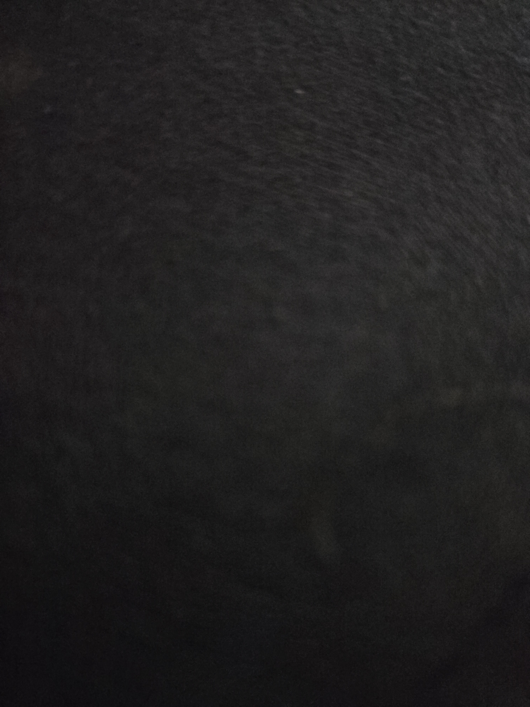Chris profile