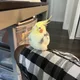 WackyBatman profile
