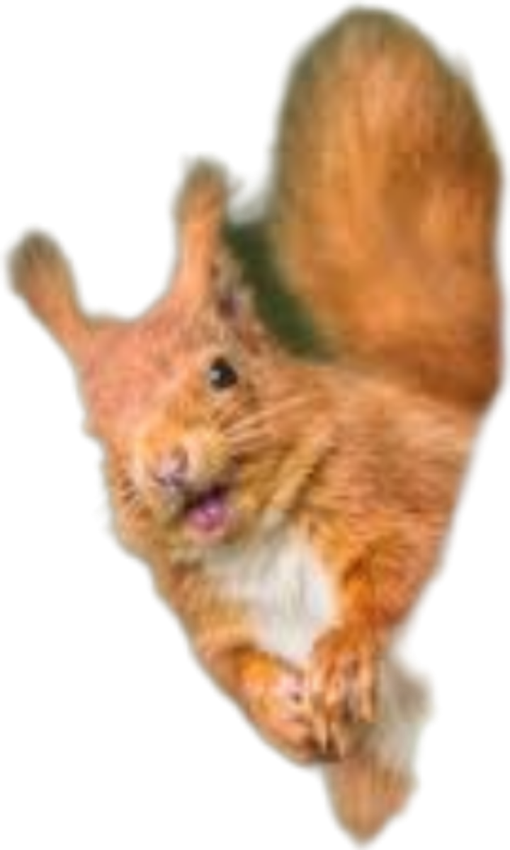 kee