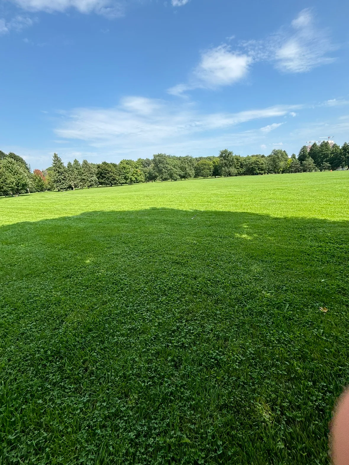 Yusef mhmoud profile