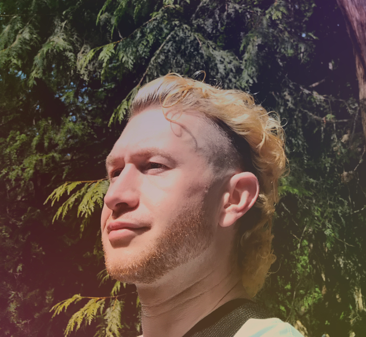 Davey in Vancouver profile